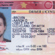 Fake drivers license
